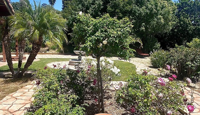 San Diego - Home away from Home - Pet friendly!