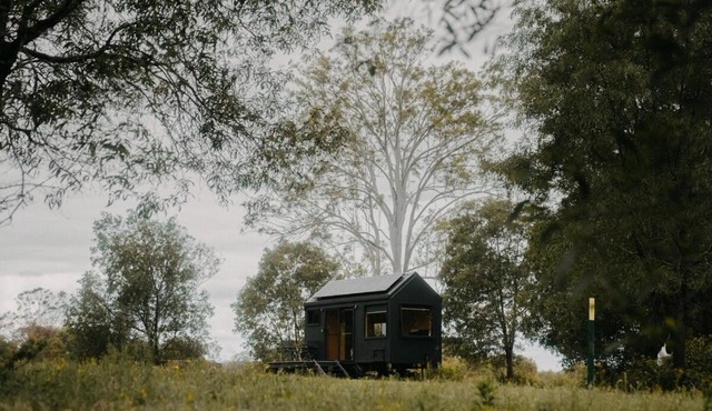 Secluded & Pet Friendly Cabin Deep in Nature - Cybele