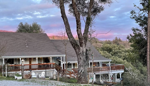 Sierra Suite - Spacious 2 queen suite with amazing views - Sierra Mountain Lodge