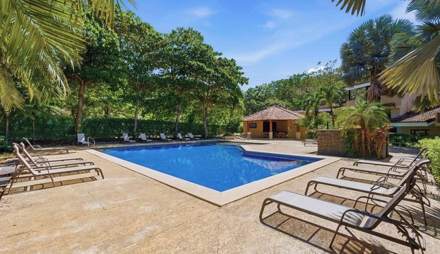 Snorkel’s Paradise Condo, Pool, Steps to the Beach