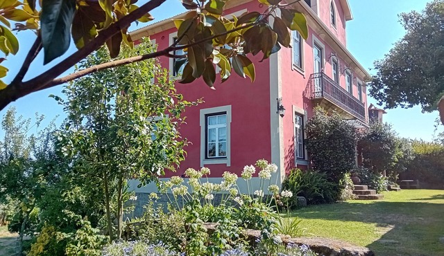 Solar da Motta 4 bedroom villa in Douro - WiFi, pool, BBQ, free parking