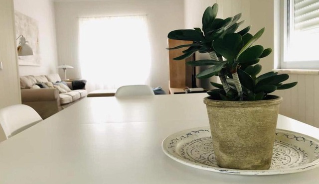 Spacious 3 bedroom apartment 20 min to Lisbon
