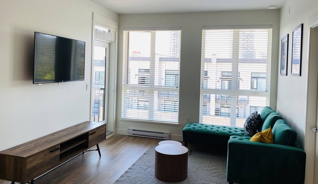 Spacious, Modern New 2bdr, Free Parking, Internet, AC
