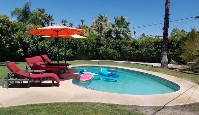 Sparkling backyard pool /Postmodern Paradise
