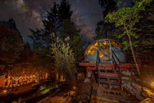 Stargazing Dome with Forrest Cottage on Lakefront Property