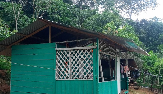 Stay in our Bribri tribe 5 minutes from the river