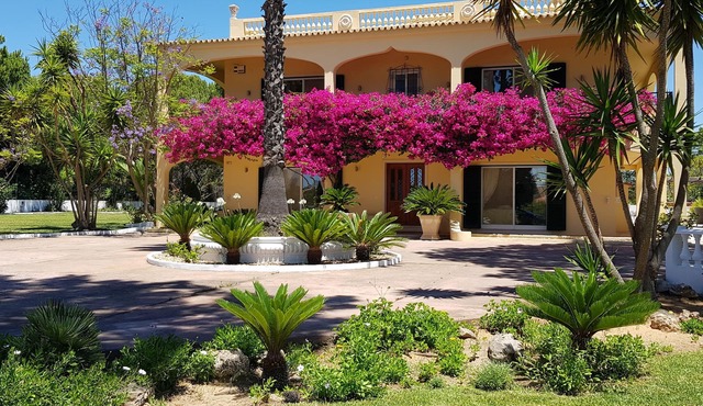 Stunning Large Luxury Villa - Private Pool-Games Room-Cinema-Gym & Indoor Bar