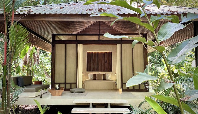 Suite con Piscina Privada y Vistas al Jardín, en la Jungla y a 3 min de la Playa