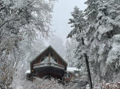 Sweet getaway in private Giant Sequoia Grove!