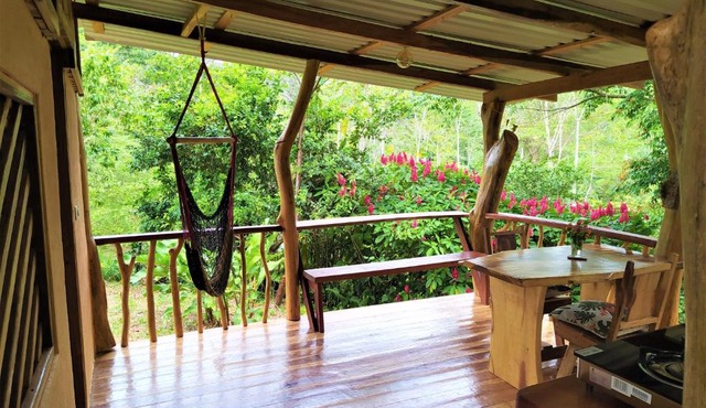 Terra NaturaMa - off grid living in the jungle