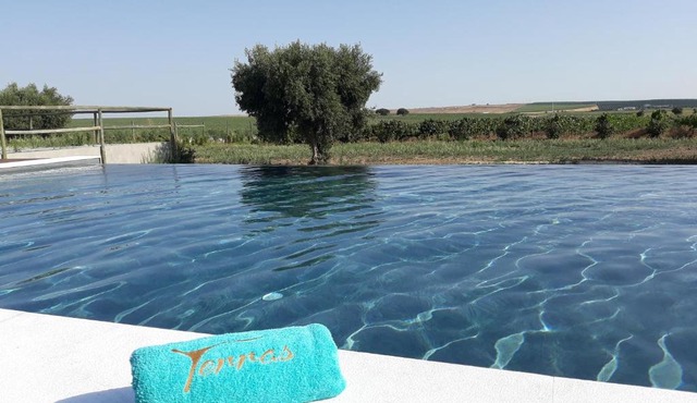 Terras - Agroturismo & Vinhos