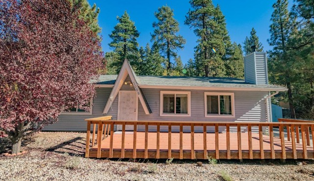 The Bunkhouse