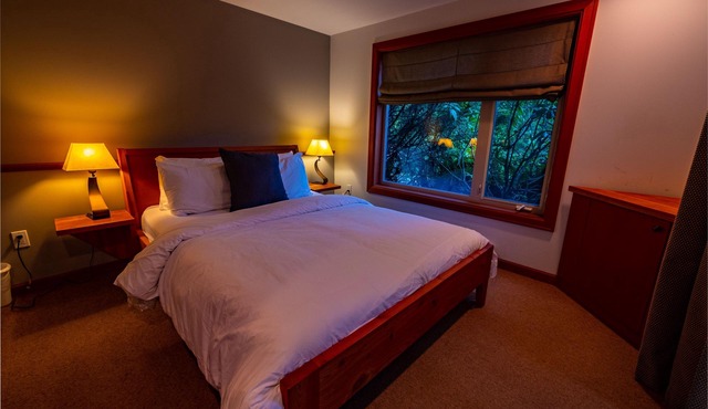 The Cabins - 2 Bedroom - Rainforest Upper Canopy!
