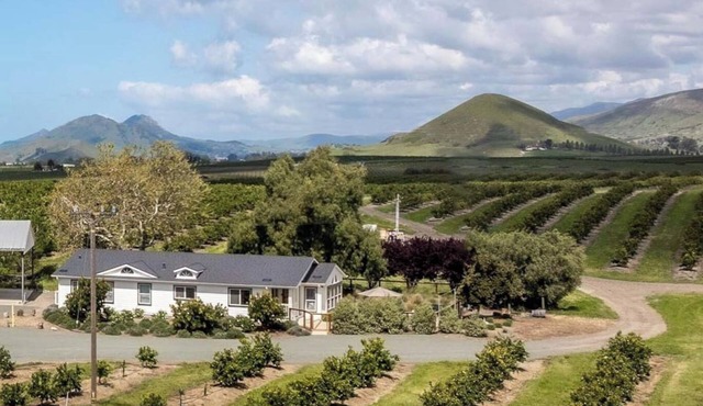 The Orchard House In Lovely Edna Valley. Sleeps 10