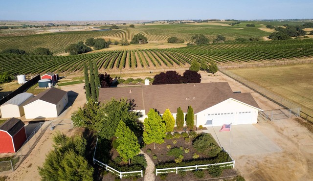 The Pinot Paradise Experience.