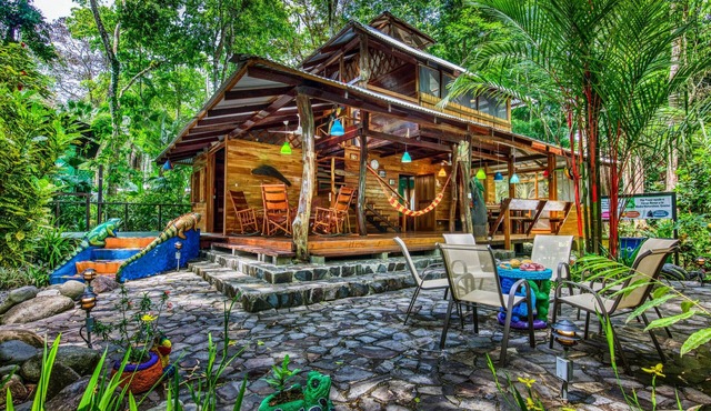 The Sweet Dream House