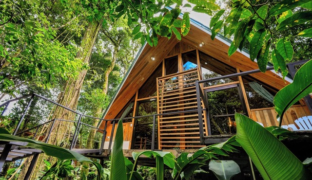 Tityra Lodge