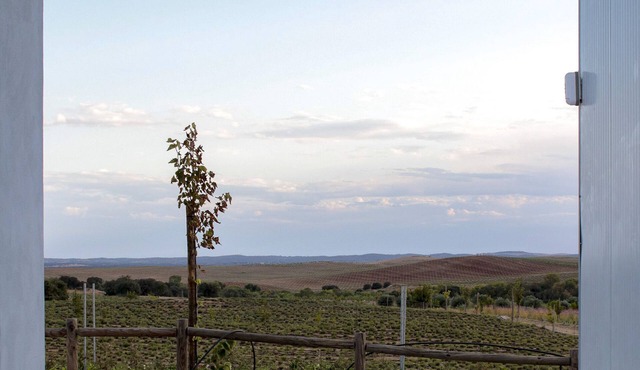 Traditional house located inside an biodynamic tea farm, 20km from Évora.