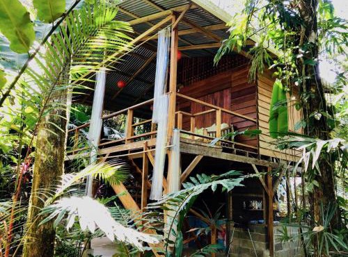 Tranquila - Jungle Cabin for Nature Retreat