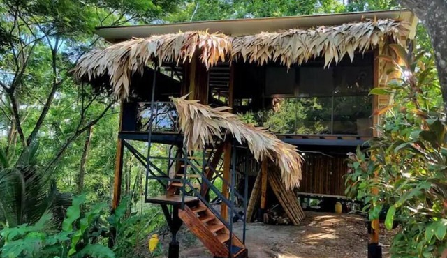 TreeTop Mansion, where the jungle meets the sea!