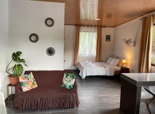 Tropical Coast Studio