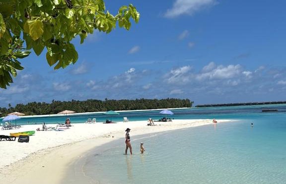 VelaaVani - Turtle Hive Dhiffushi