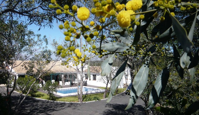 Villa located in Algavre in the heart of a typical Portuguese village