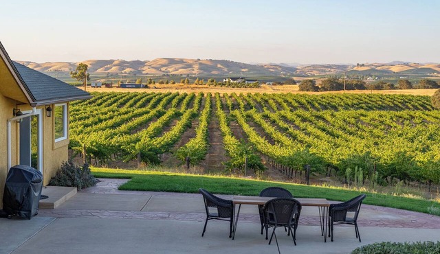 Vineyard Views + BBQ Patio | Paso Robles Wine Country | Wild Vines