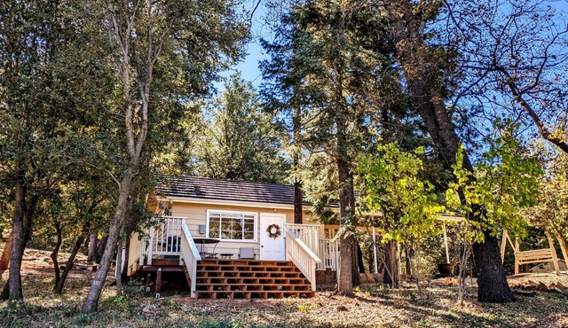 Volcan View Cottage- Julian, Ca. Luxury Tiny cabin