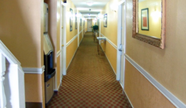 Welcome to the Holland Inn Suites double room with King Bed