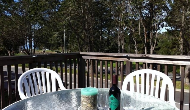 Westside 3 BR + loft Overlooks Natural Bridges Beach. Great for Families!