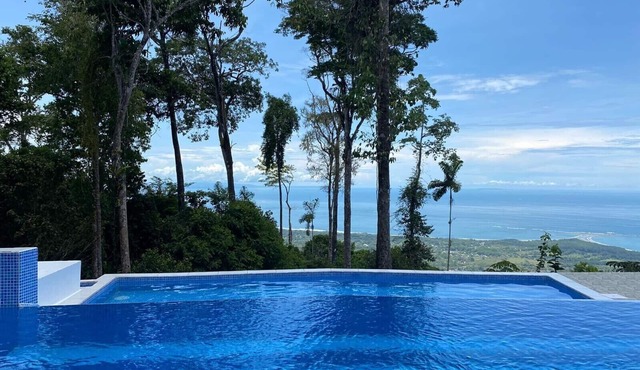 WHALES TAIL View Exotic Designer House 13 acre PRIVACY, Birding w 50 MILE VIEW