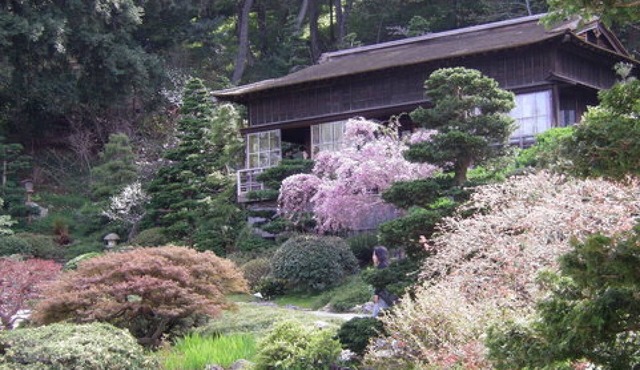 Whimsical Cottage Near The Village Of Saratoga