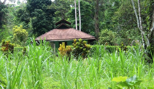 Wild nature - 300 m from the beach 5 person house.