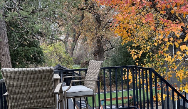 Your own modern treehouse overlooking Bidwell Park