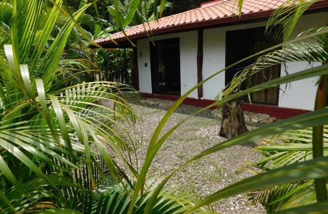 Villas Jungle 