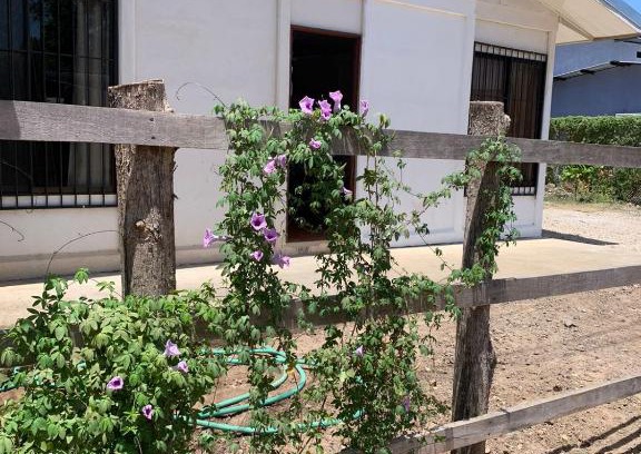 Tamarindo Apartment | Casa Aura