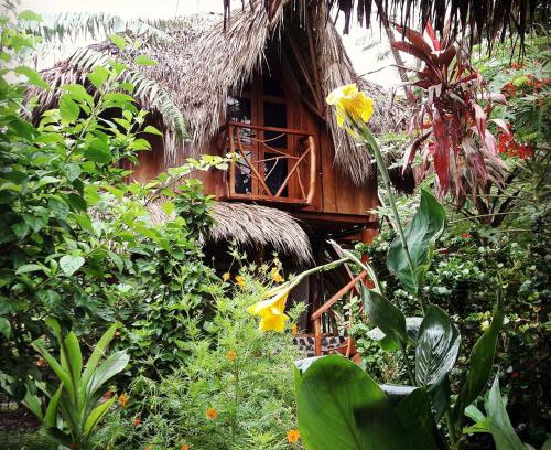 Balgue Hostel | La Urraca Loca Hostel