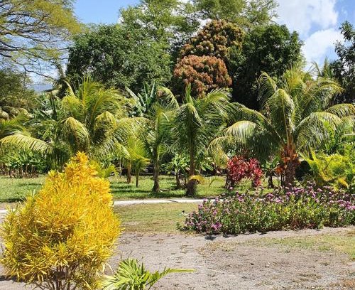 Moyogalpa Hostel | Rancho Tranquillo
