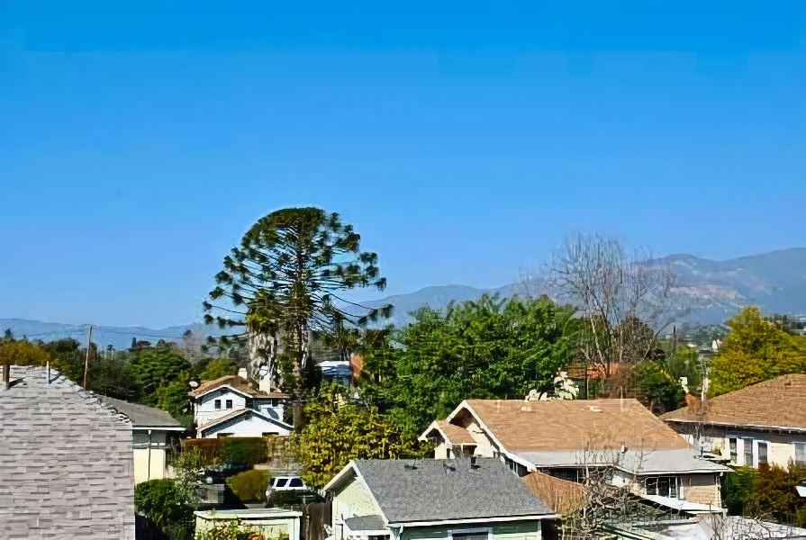 Photo of Others in Oak Park
