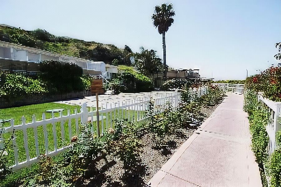 Photo of Others in Central Malibu