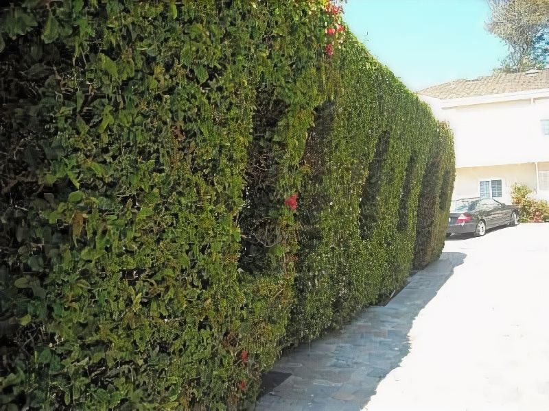 Photo of Others in Central Malibu