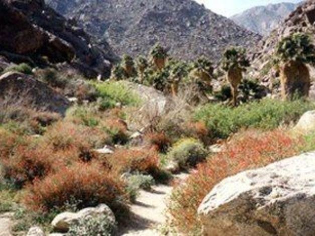 Photo of Outdoor in Calexico