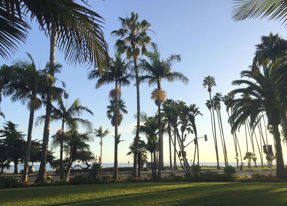 Photo of Buildings in East Beach