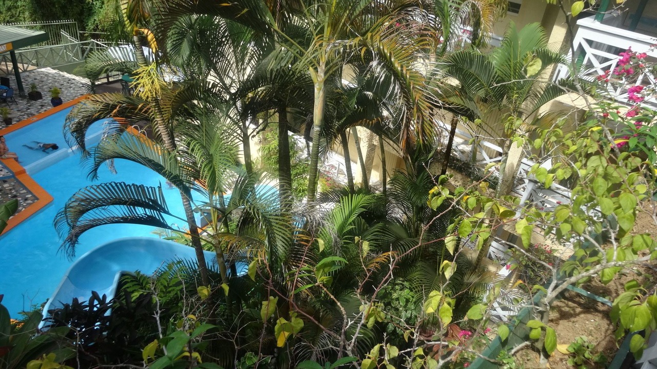 Photo of Outdoor in Suva