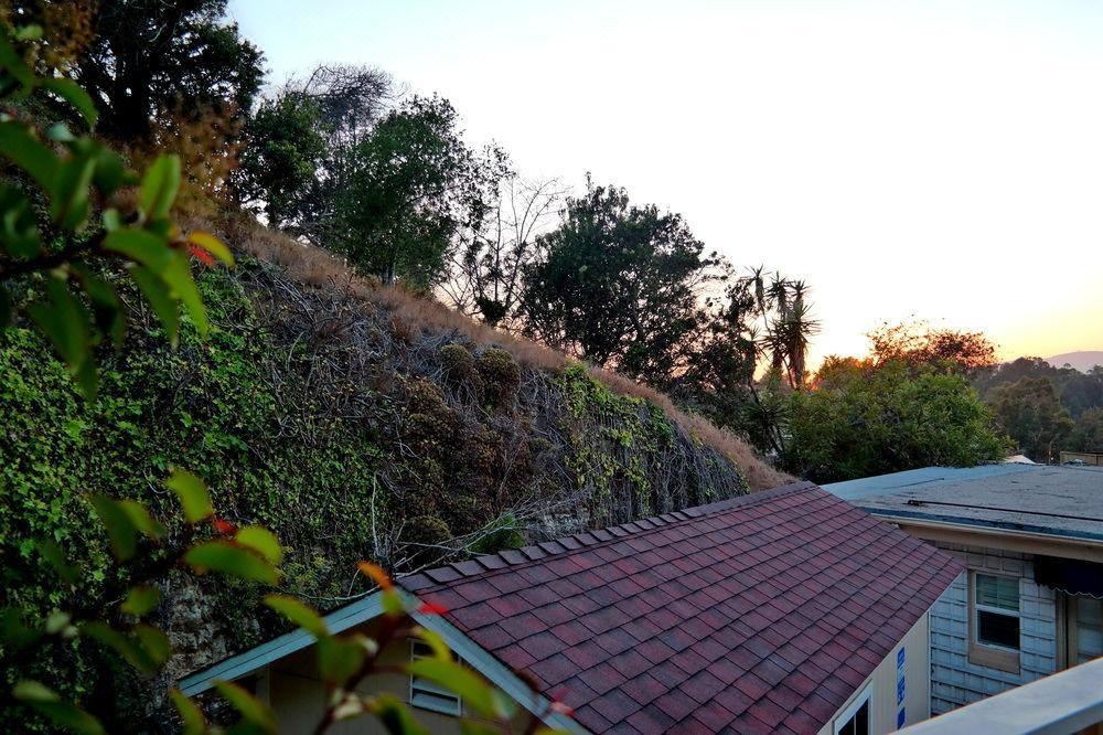 Photo of Others in Central Malibu