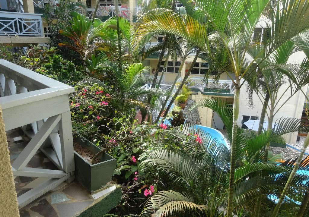 Photo of Buildings in Suva