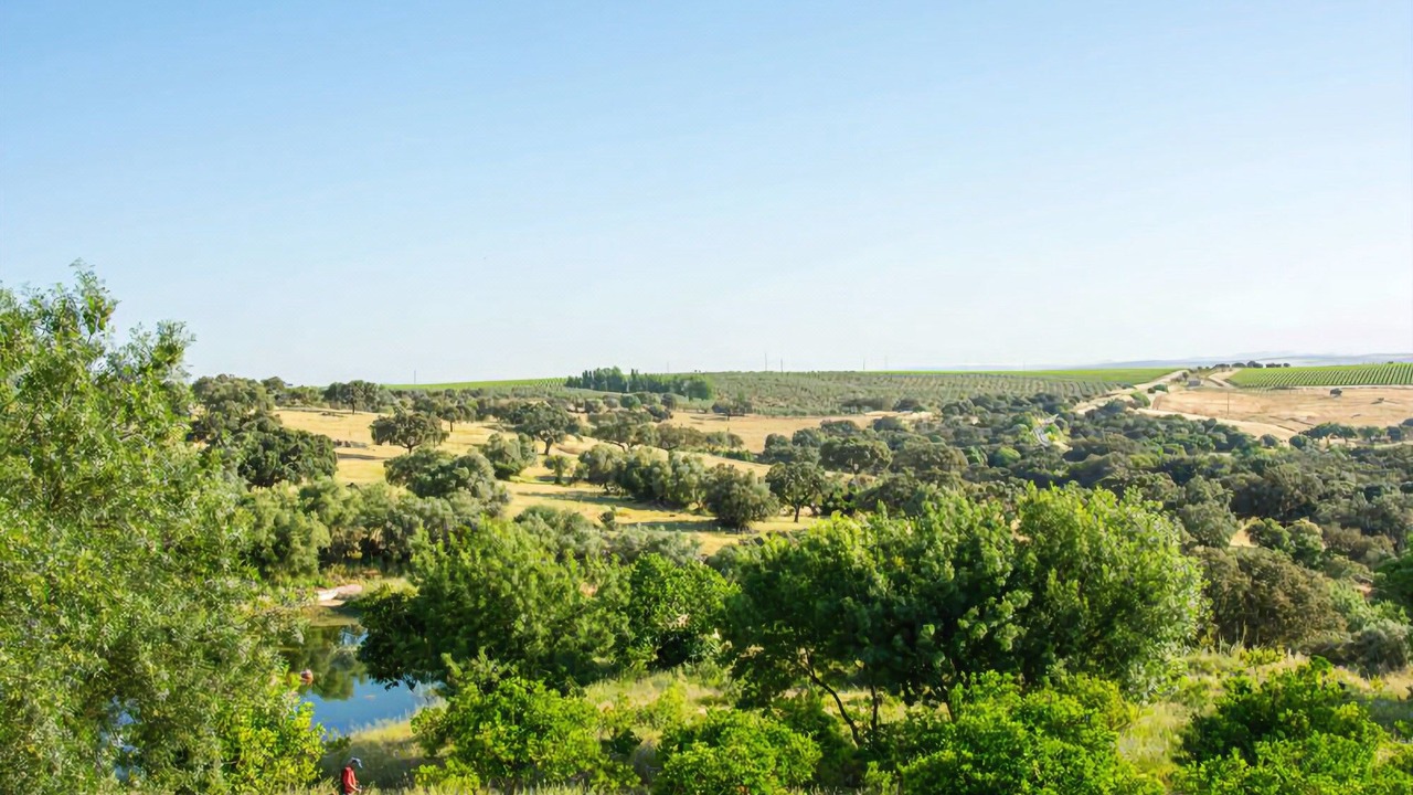 Photo of Outdoor in Elvas