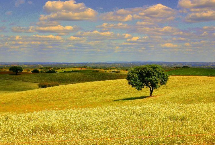 Photo of Outdoor in Elvas