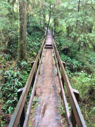 Photo of Others in Ucluelet
